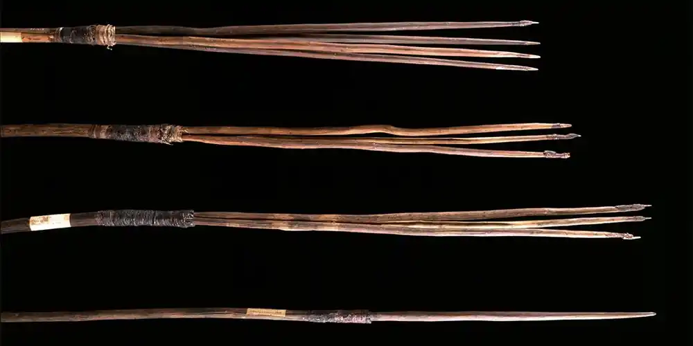 The Return of the Gweagal Spears